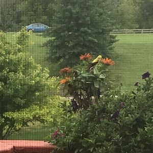 Meet your Posher, Ethel